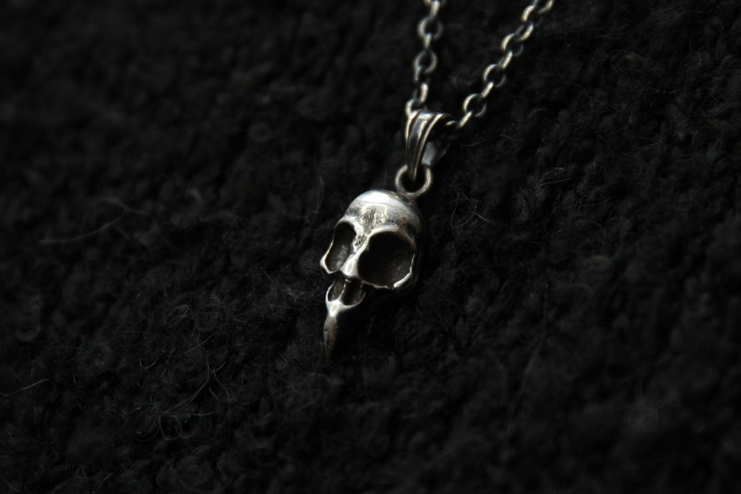 Silver Bird Skull Pendant