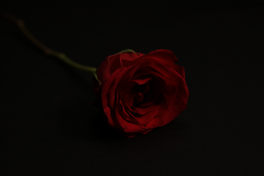Rose Jar Candle