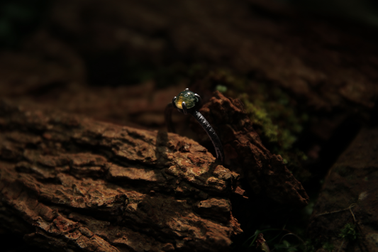 Agate Moss Ring